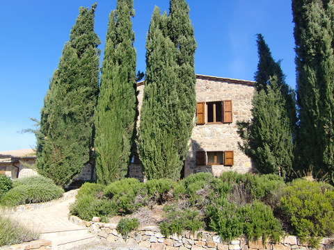 c0206352_1241324.jpg