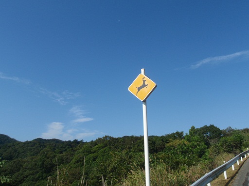 a0242657_2246464.jpg