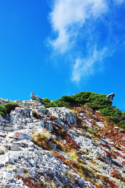 c0214259_1325165.jpg