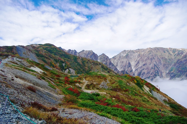 c0214259_827851.jpg