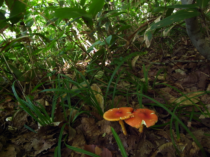 b0130166_2035271.jpg