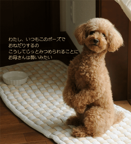 c0196673_1433193.gif