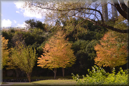 e0099375_10372495.jpg
