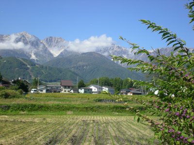 e0014678_2014698.jpg