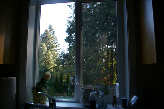 f0112080_937654.jpg