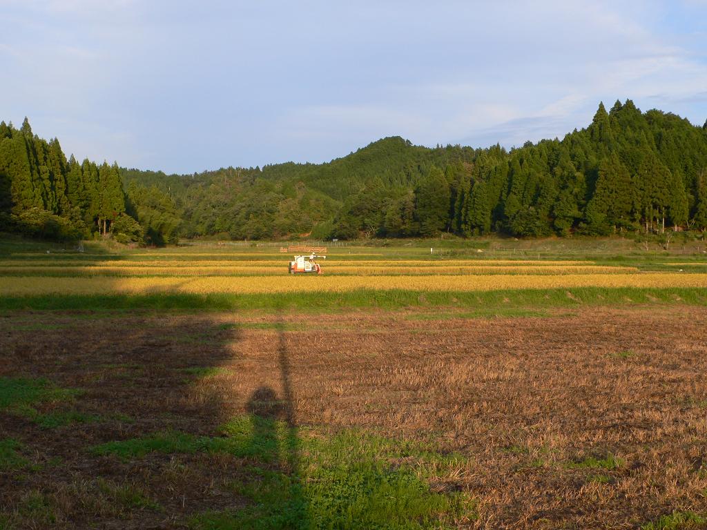 b0042882_16545148.jpg