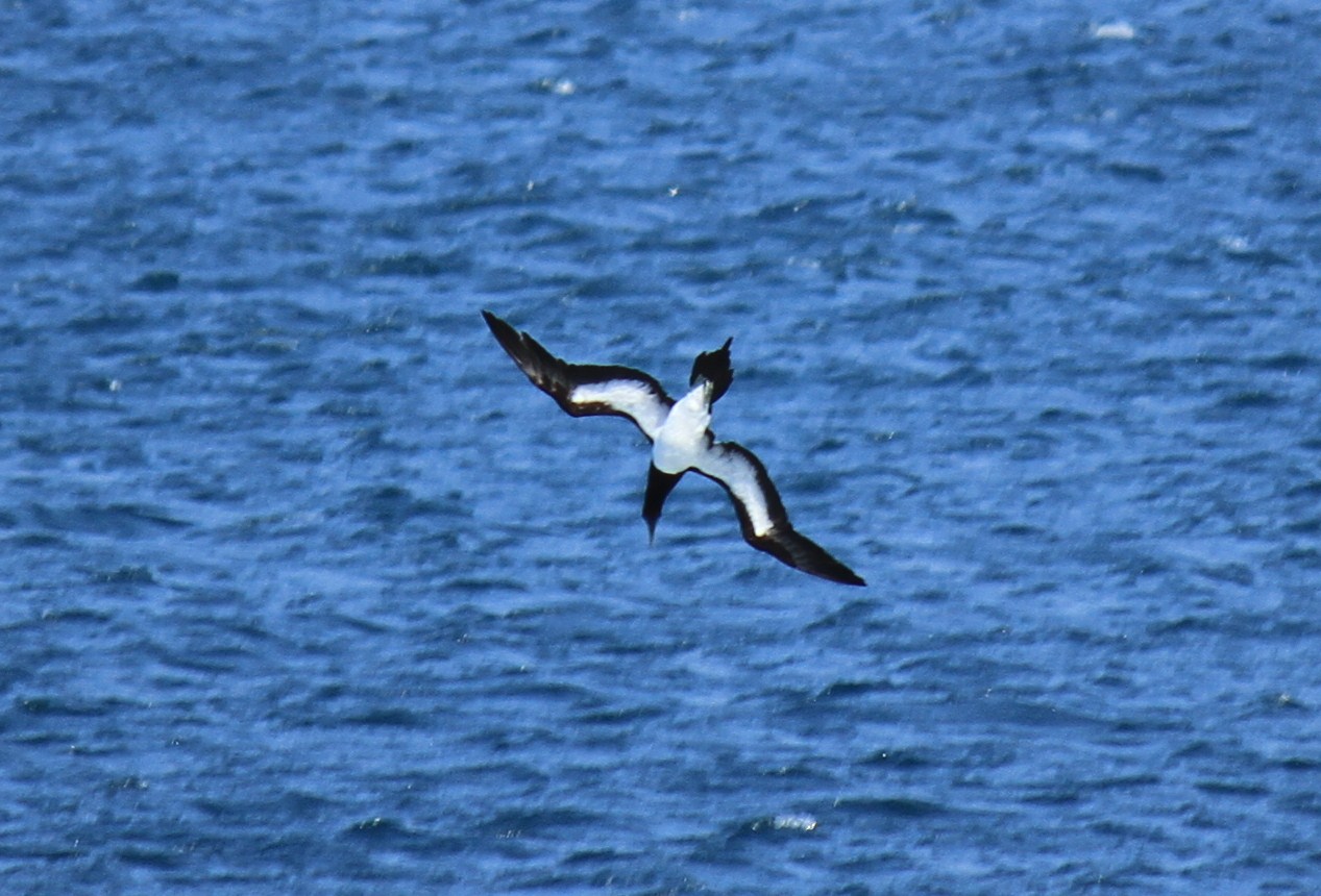 e0197884_10404525.jpg