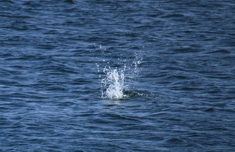 e0197884_10472143.jpg