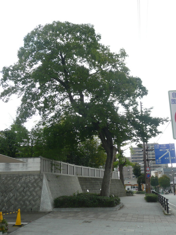 b0118987_5244869.jpg
