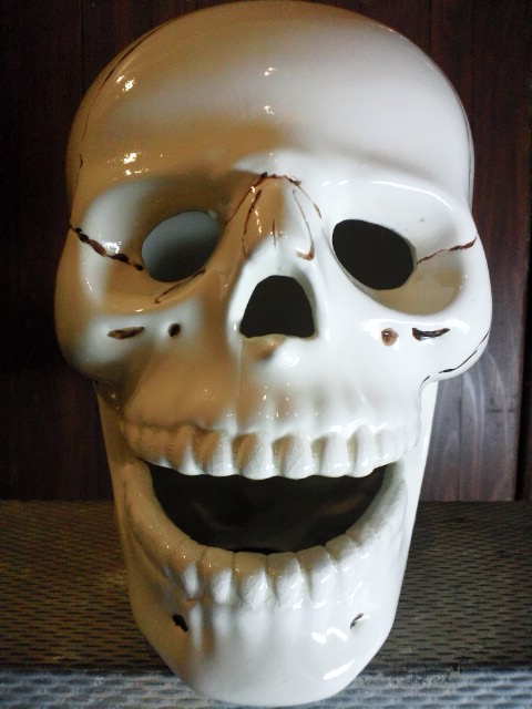 c0078587_2229286.jpg