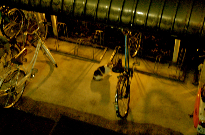 c0026089_1045879.jpg