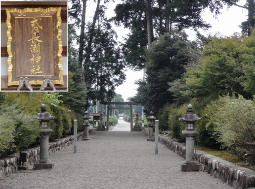 f0007689_9455289.jpg