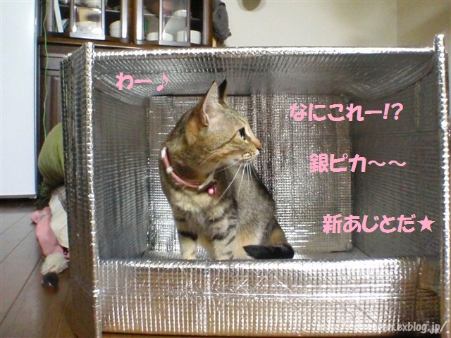 a0159490_166134.jpg