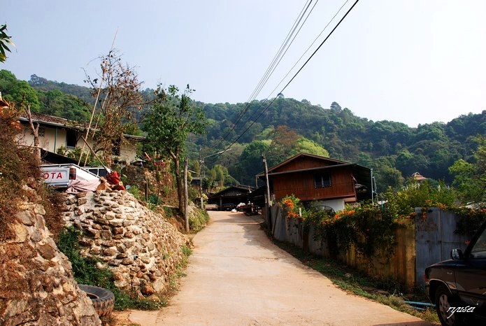 f0053297_1161469.jpg