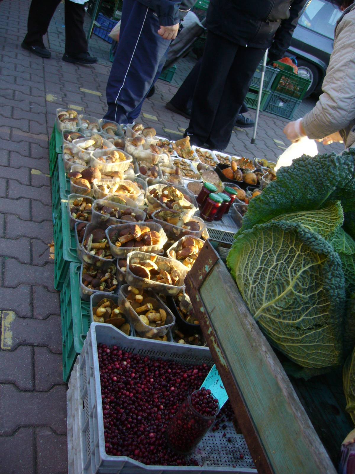 f0169397_16473879.jpg