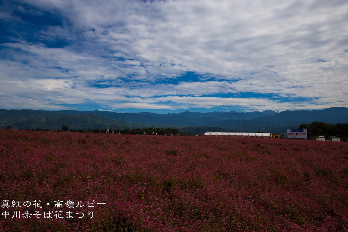 f0220502_17465825.jpg