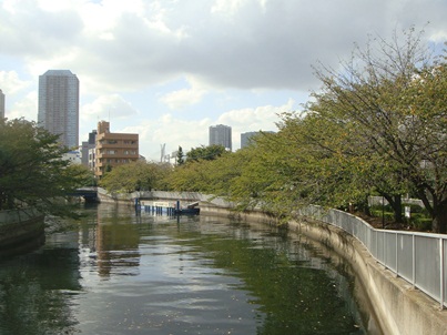 a0167803_1635295.jpg