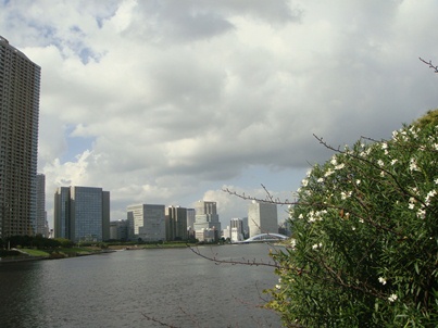 a0167803_16354527.jpg