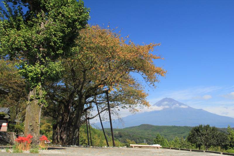 a0188405_10583625.jpg