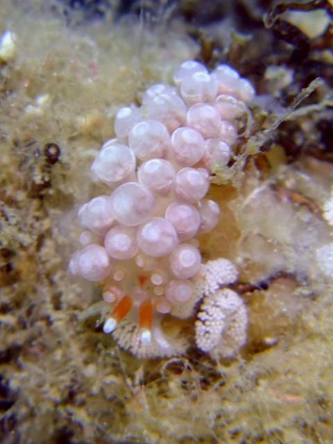 d0175710_23422494.jpg