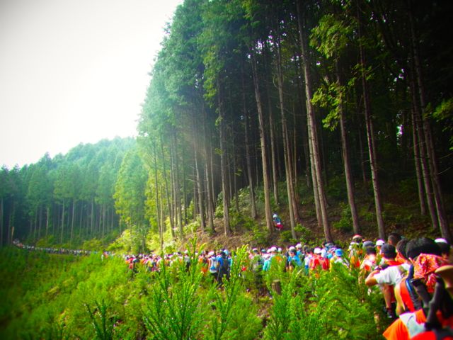b0183911_11151654.jpg