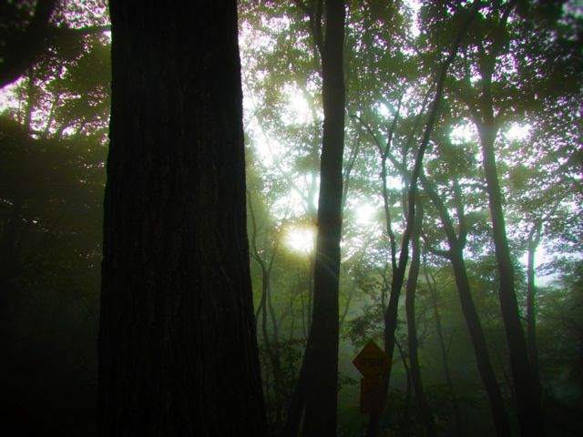 b0183911_11152370.jpg