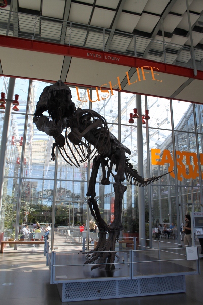 d0128712_456437.jpg