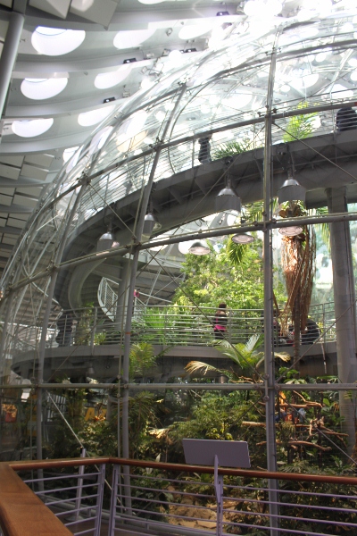 d0128712_513767.jpg