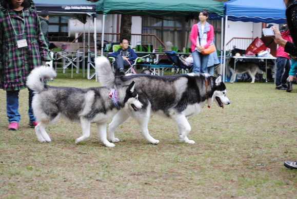 a0226620_23434593.jpg