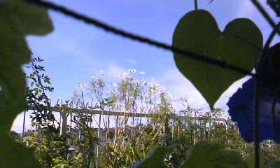d0024220_18484754.jpg