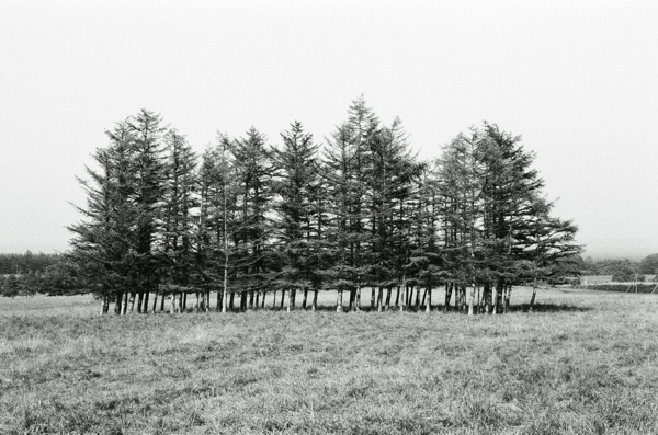 f0182924_22122880.jpg