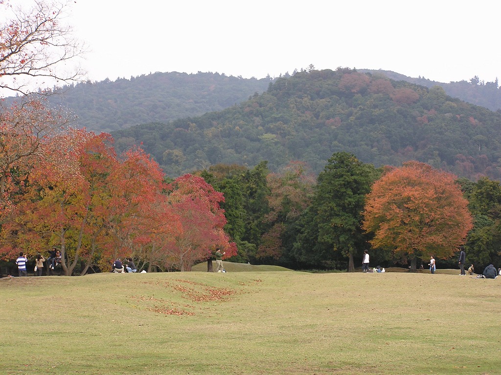 b0162728_19514597.jpg
