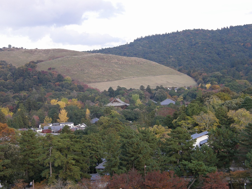 b0162728_19531331.jpg