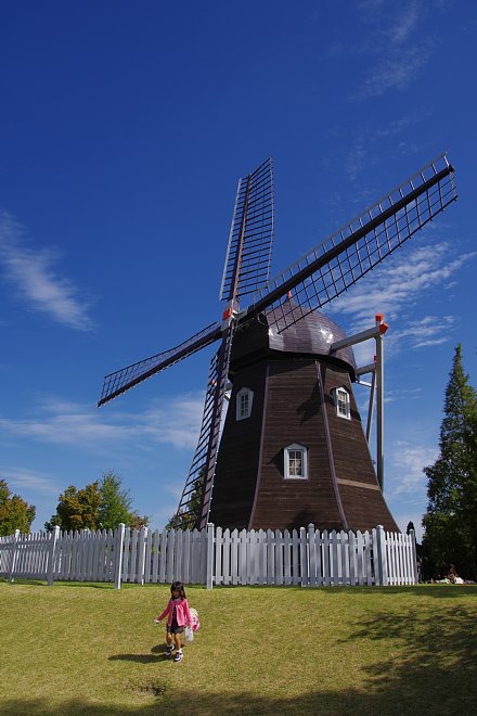 b0134829_19342477.jpg