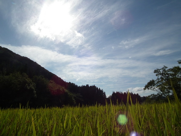 f0118332_0321998.jpg