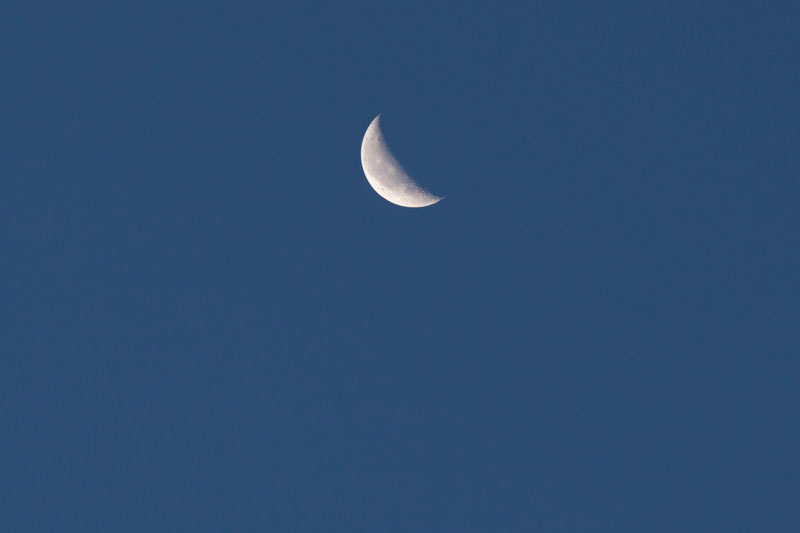 b0177233_4574255.jpg