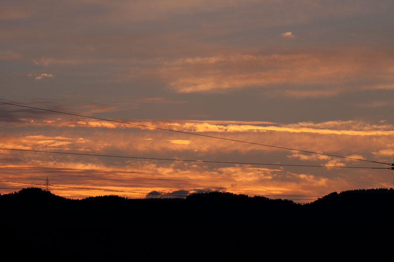 b0177233_458282.jpg