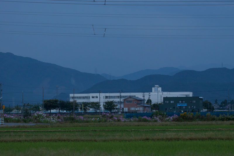 b0177233_545671.jpg