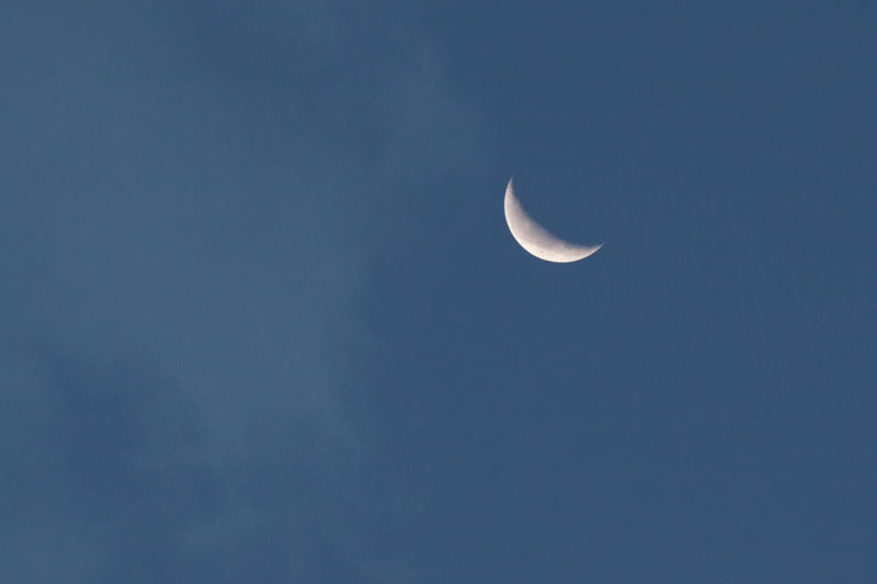 b0177233_554361.jpg