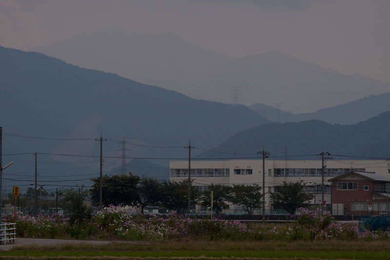 b0177233_564128.jpg