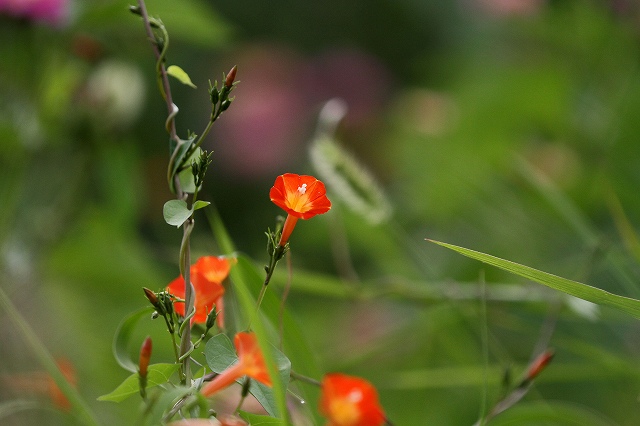 a0242438_1931486.jpg