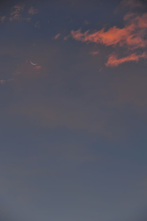 b0075541_222912.jpg