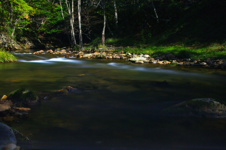 a0250369_8443268.jpg