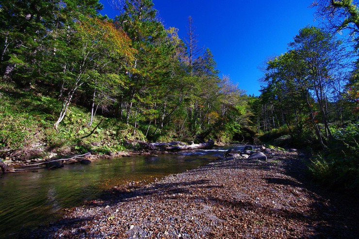 a0250369_8452953.jpg