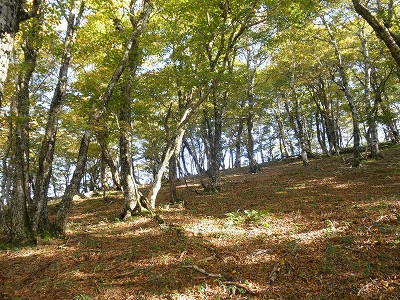f0057070_2074933.jpg