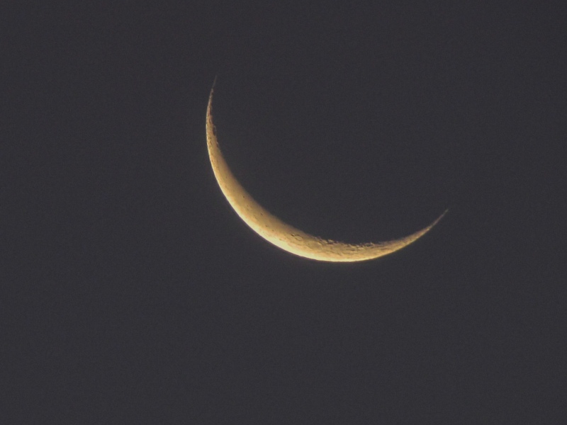 c0183777_78225.jpg