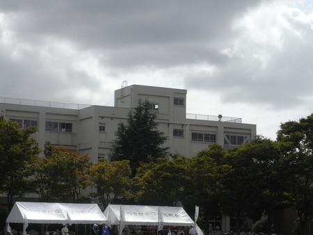 b0030078_12264645.jpg