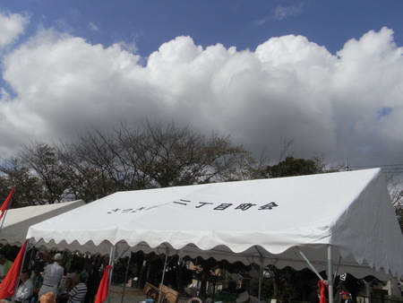 b0030078_12265229.jpg