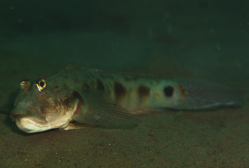 c0237588_0312645.jpg