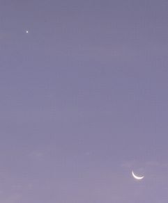 f0007689_847589.jpg